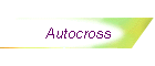 Autocross